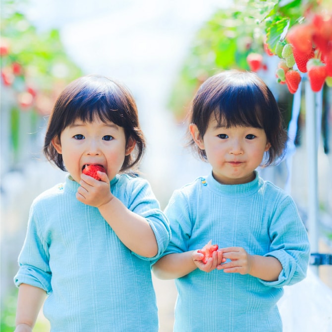 苺を食べながらこちらを見つめる二人のこども